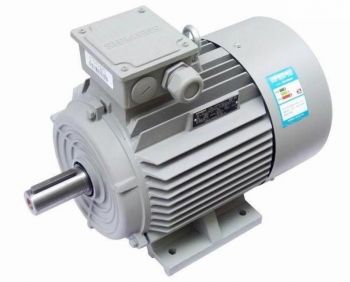 1MB1013-1DC42-2HB4 Siemens Three Phase Asynchronous Motor